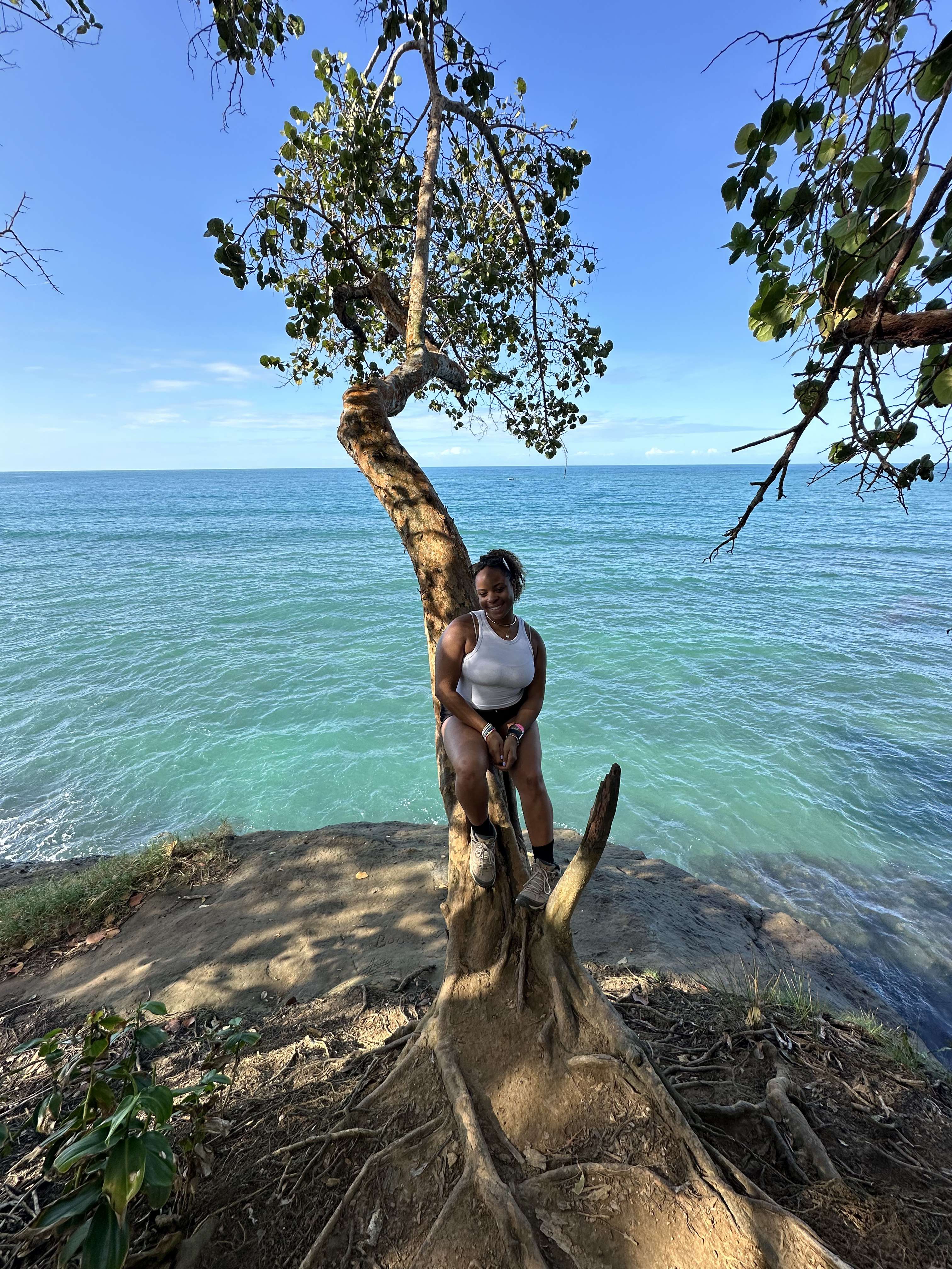 Traveler sitting on a tree at Playa Punta Uva viewpoint in Puerto Viejo, Costa Rica