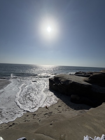 5 Fun Things to Do in San Diego Under $100